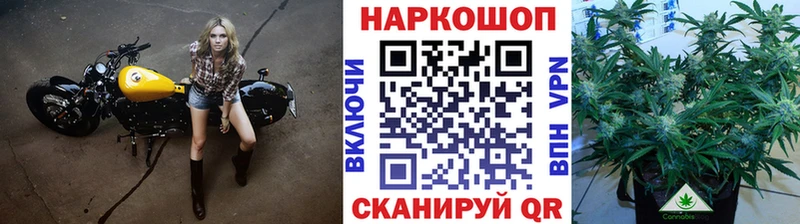 Какие есть наркотики Владимир Альфа ПВП Cocaine Гашиш МЕТАДОН МАРИХУАНА