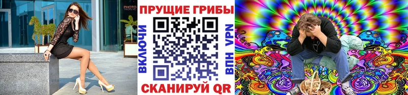 Галлюциногенные грибы Psilocybe что такое наркотик Владимир