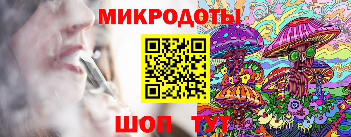 Владимир  Галлюциногенные грибы Psilocybine cubensis  Вход с VPN 